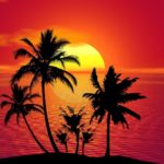 tropical-1651423_1920