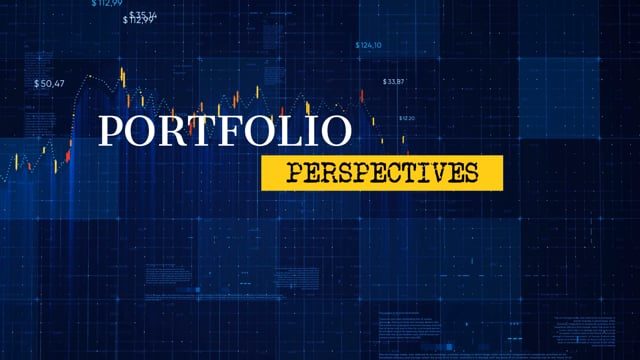 Portfolio Perspectives - Pilot
