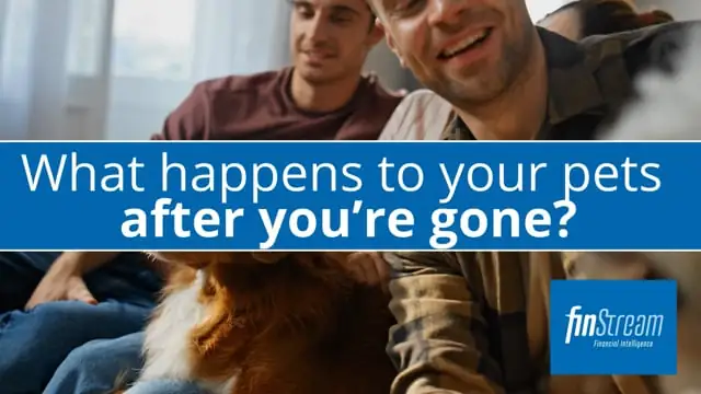 What happens to your pets after you’re gone?