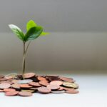 money_tree_stock