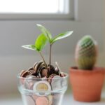 money_tree2_stock