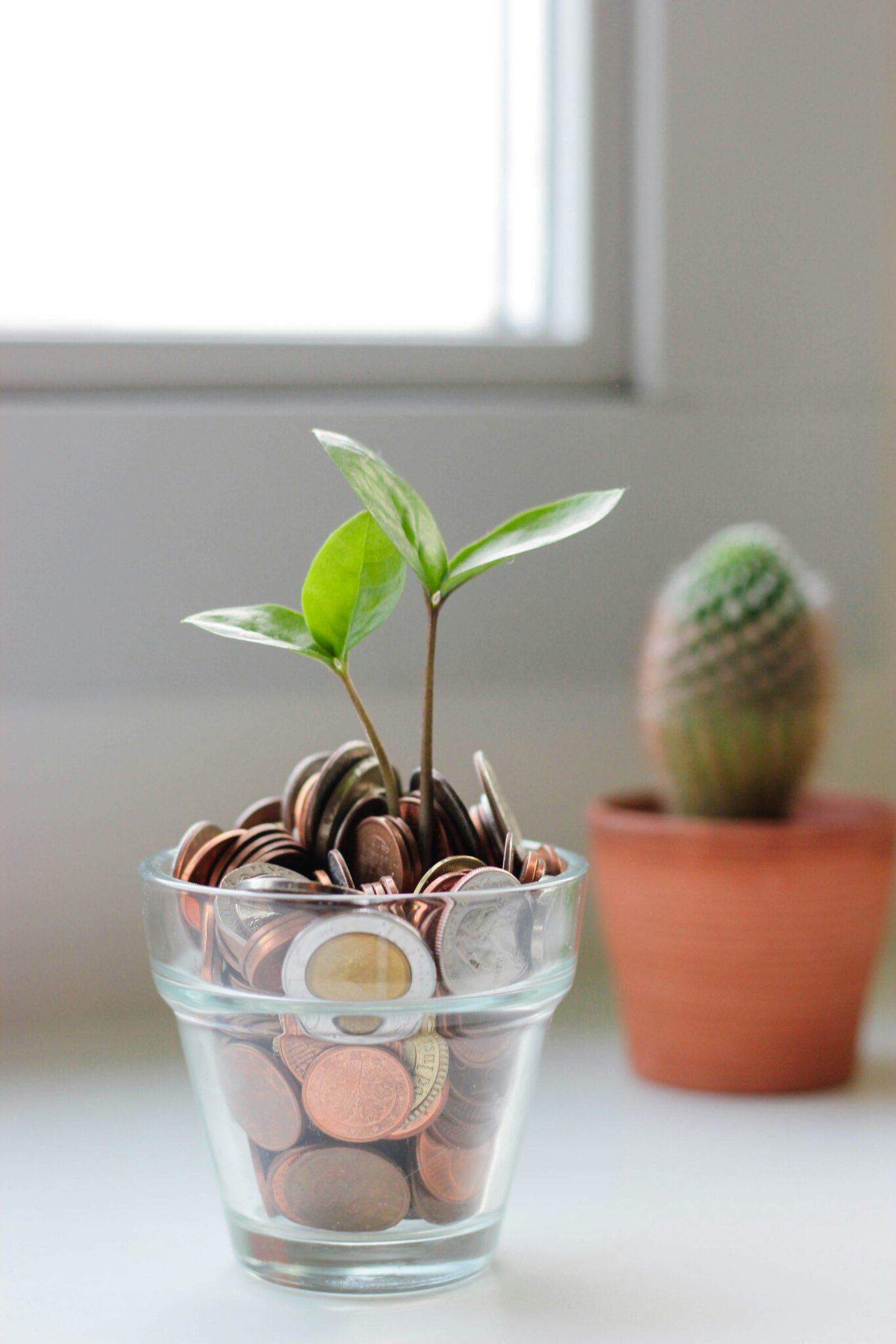 money_tree2_stock