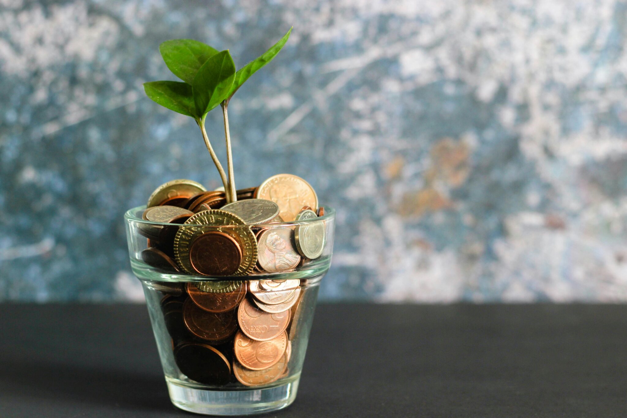 money_tree3_stock